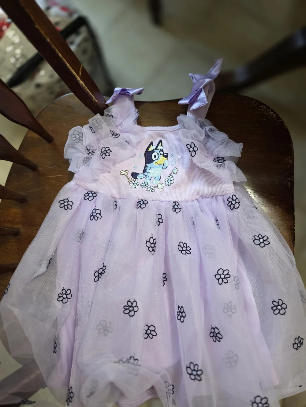 Bluey Dress